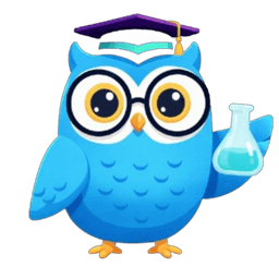 Socratic Solver Logo